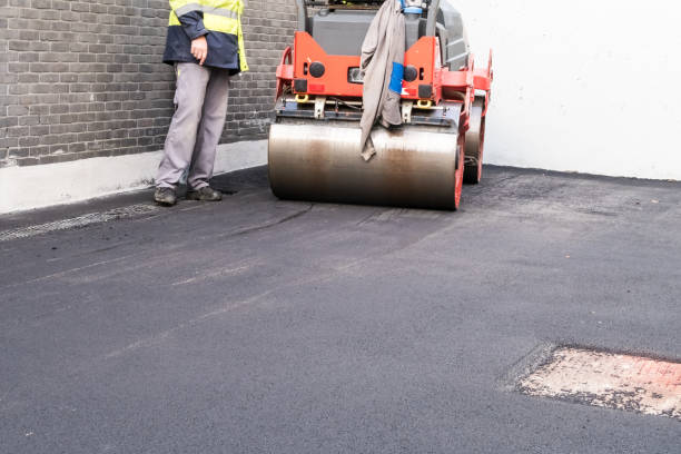 Best Driveway Removal and Replacement  in Caon City, CO